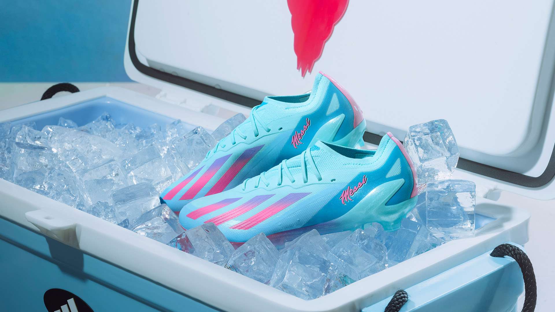 现出极强的 现出极强的